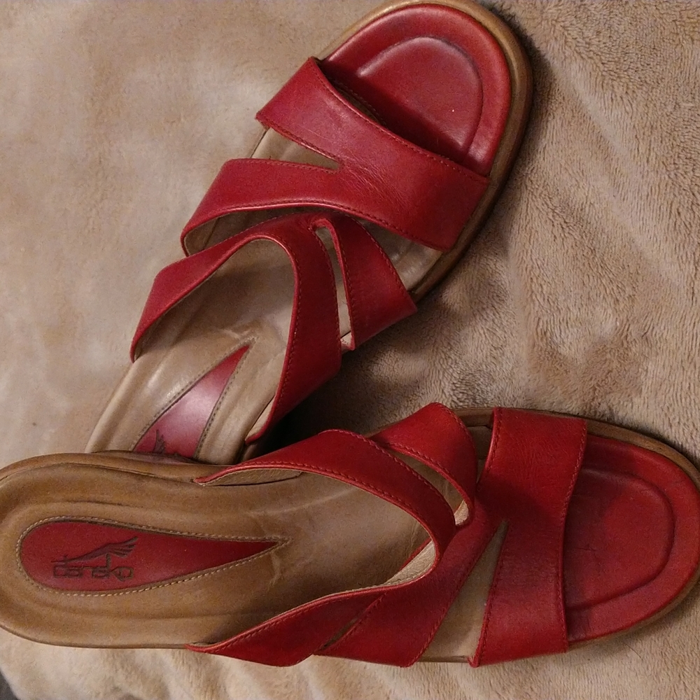 Dansko slides